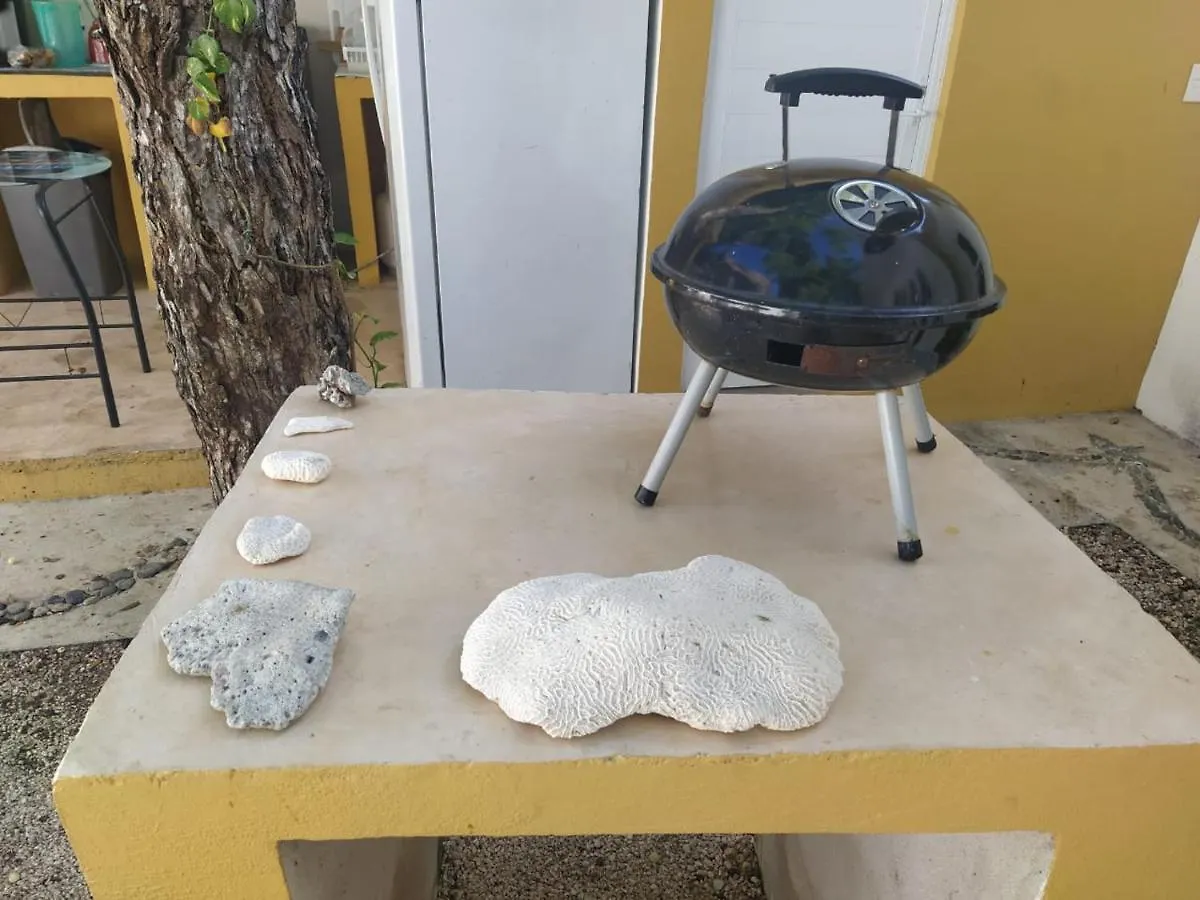 Guest house Bluestar Hotel Tulum